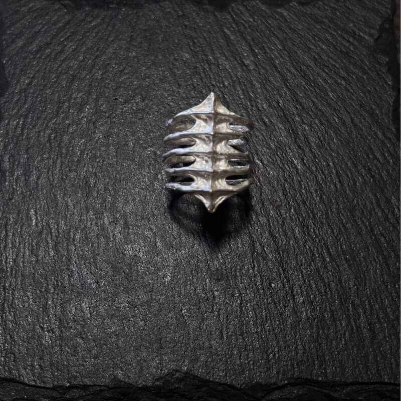 Rib Cage Spine Ring - Crystalory
