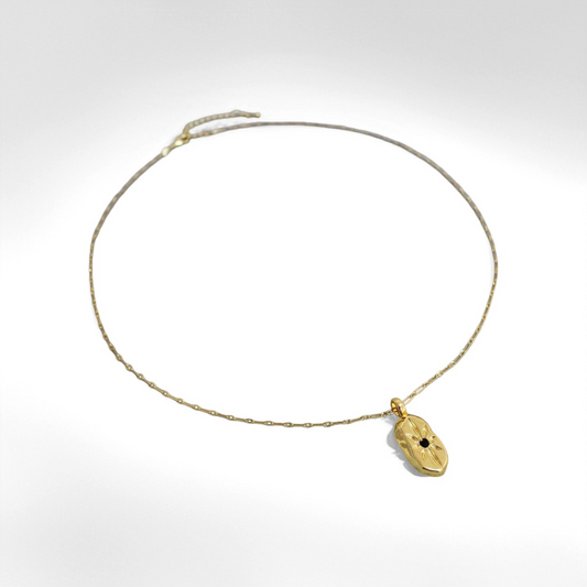 French Shield Star Necklace - Crystalory
