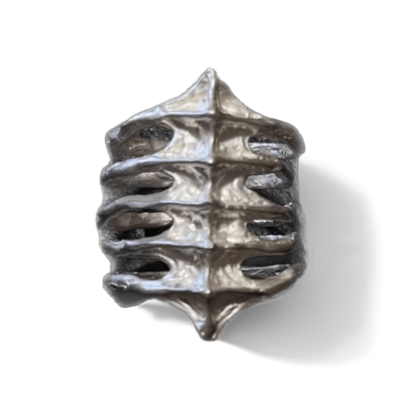 Rib Cage Spine Ring - Crystalory
