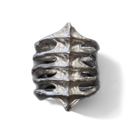 Rib Cage Spine Ring - Crystalory