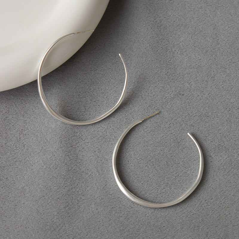 Silver Hoop Earrings - Crystalory